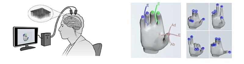 Upravljanje virtualnim kvadrokopterom uz pomoć sučelja mozak-računalo 📷 Jaimie M. Henderson i sur.