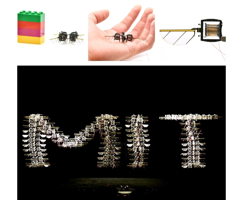 Lakši od spajalice, robotska pčela leti znatno brže od sličnih robota dok izvodi akrobatske manevre poput dvostrukih okreta u zraku 📷 MIT