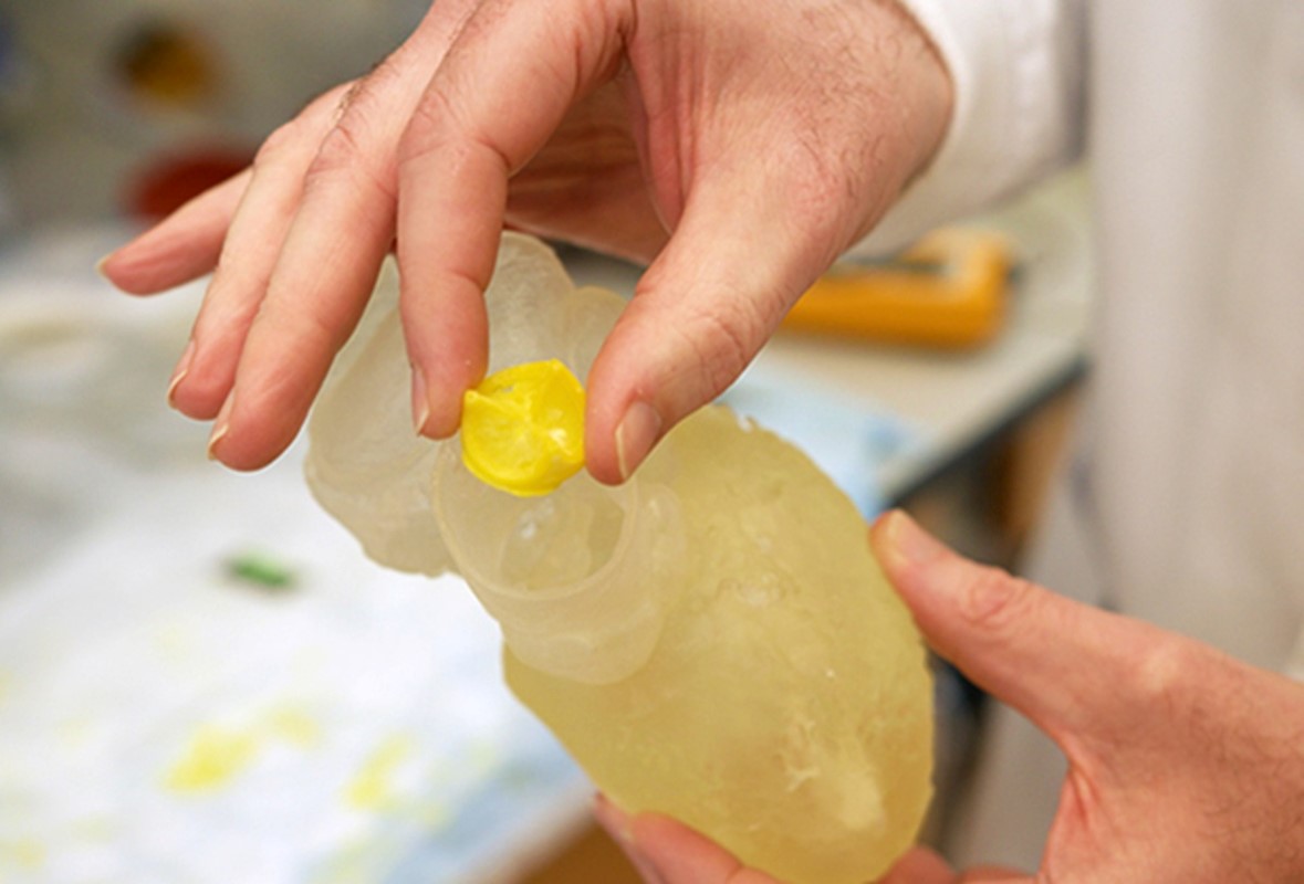 Bioresorptivni srčani zalistak koji potiče regeneraciju tkiva i 3D isprintan model srca 📷 Georgia Tech