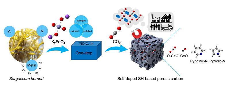 Shematski prikaz dobivanja ugljena iz algi za hvatanje CO2