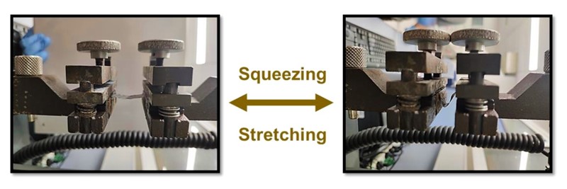 Bioinspirirane membrane imaju odlična mehanička svojstva