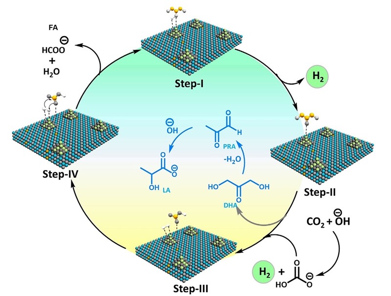 Simultana proizvodnja mliječne i mravlje kiseline: vodik oslobođen iz glicerola u koraku I koristi se za redukciju ugljikova dioksida u koraku III