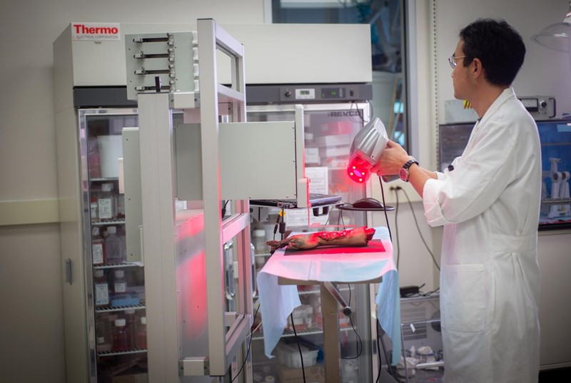 Dosadašnja ispitivanja pokazala su da bi sustav biotiska čak mogao potaknuti daljnje zacjeljivanje