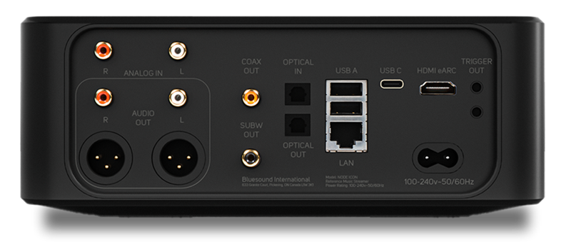 Funkcionalne opcije povezivanja na Iconovoj stražnjici jasno ukazuju na njegov u velikoj mjeri polivalentniji karakter, nego što je to slučaj kod prethodnih ili slabijih modela u liniji Node