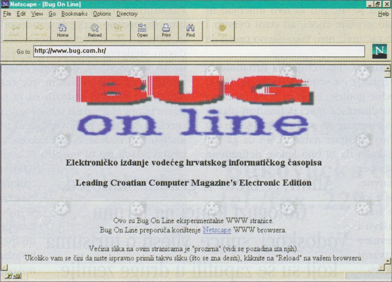 Bug Online 1995.