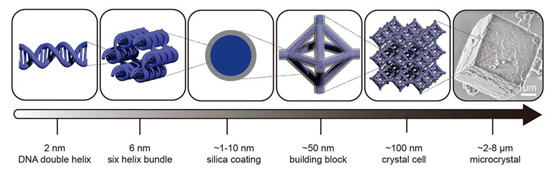 Shema izrade ciglice s armaturom od DNA