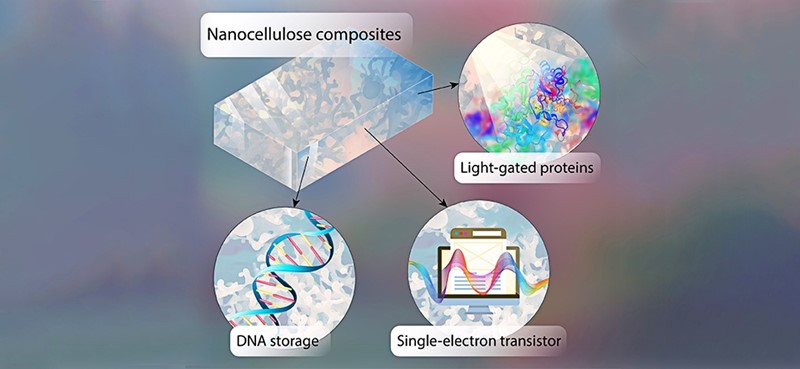 Informacije se mogu pohraniti u obliku DNK na čipovima napravljenim od poluvodičke nanoceluloze. Proteini kontrolirani svjetlom čitaju informacije 📷 Lehrstuhl für Bioinformatik / Universität Würzburg
