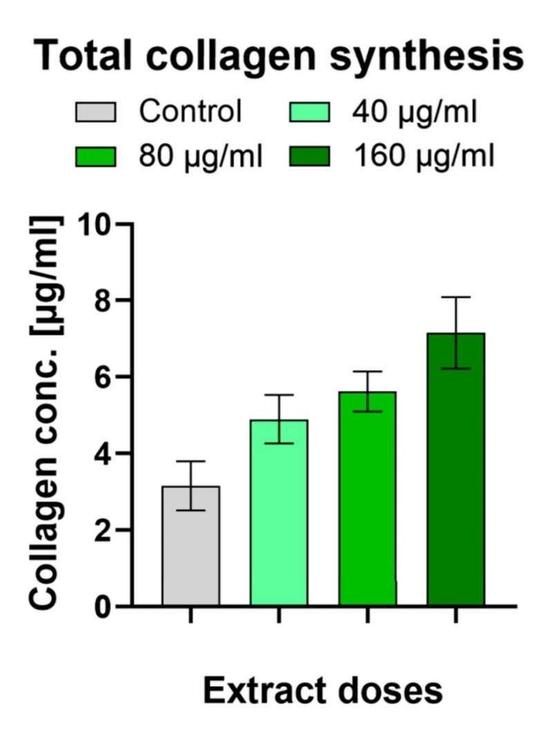 Koncentracija kolagena u kulturi stanica fibriobasta nakon pet dana u ovisnosti o koncentraciji ekstrakta klica graha
