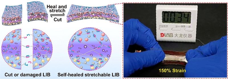 Litij-ionska "sve u jednom" baterija koja se može rastezati i samu sebe zaliječiti 📷 Zhen Li, Yue Guo, Xiaokong Liu