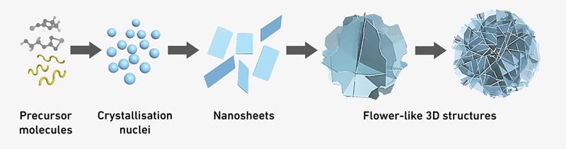 Čestice nalikuju sitnim papirnatim cvjetovima i okupljaju se na samoorganiziran način 📷 Kim i sur.