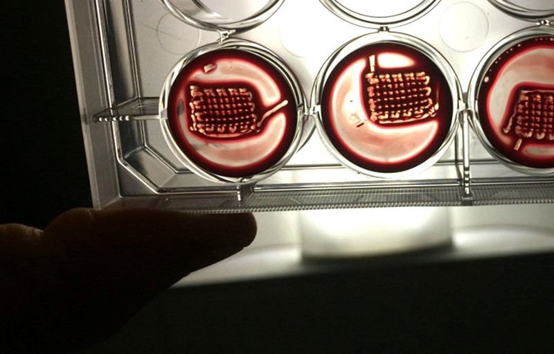 Uzorci materijala za implantate izrađeni u laboratoriju 📷 Nottingham University