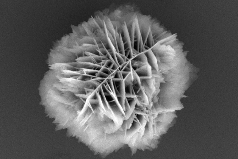 Ova čestica, sastavljena od nanoploča, velika je tri mikrometra 📷 Dong Wook Kim/Institut Max Planck za inteligentne sustave