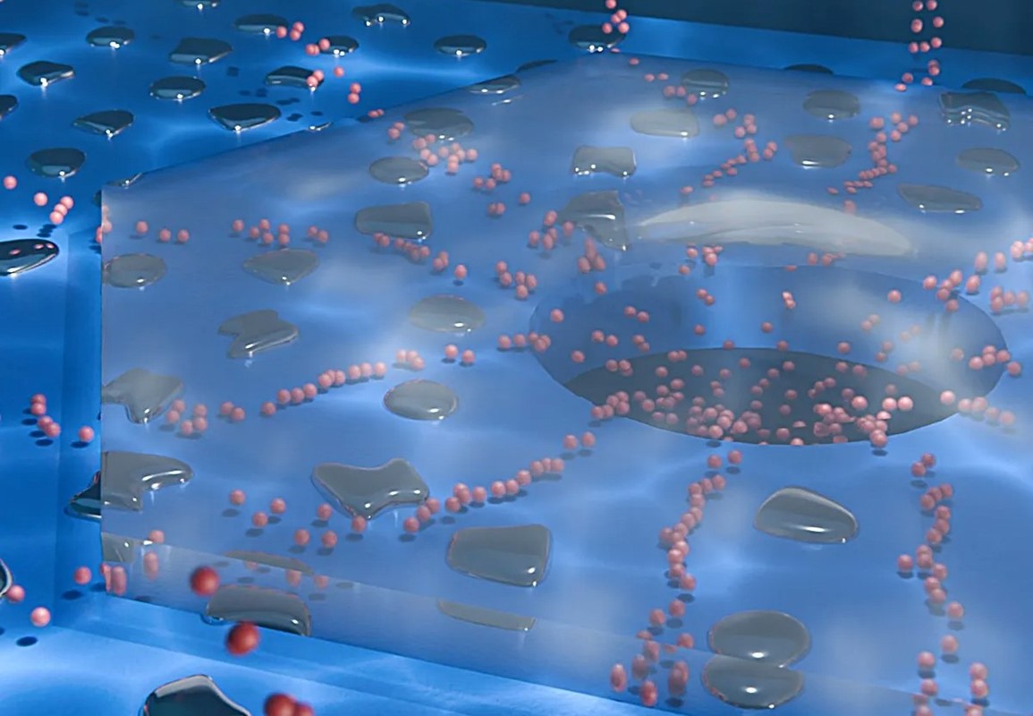 Umjetna nanofluidna sinapsa može pohraniti računalnu memoriju 📷  Andraš Kiš/EPFL