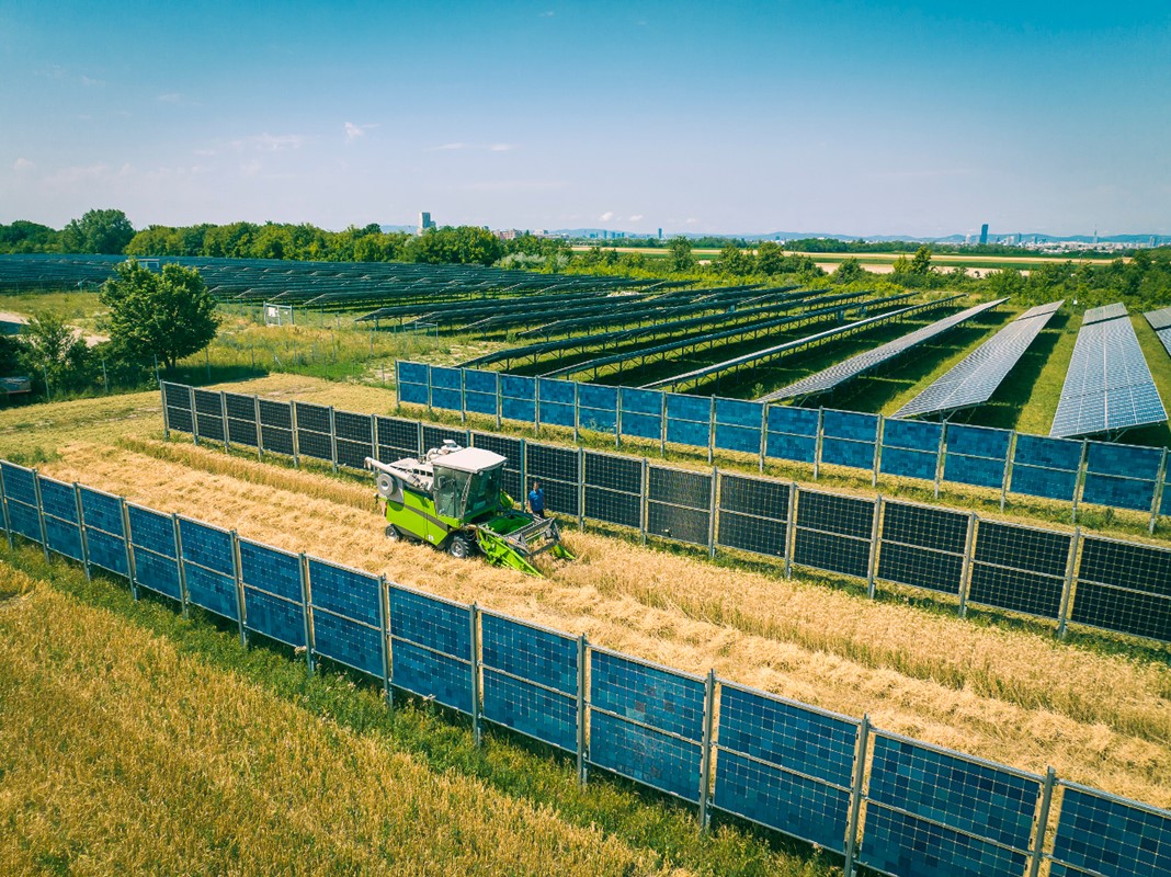 Najveća agrosolarna elektrana u Austriji 📷 © Raphael Faschang