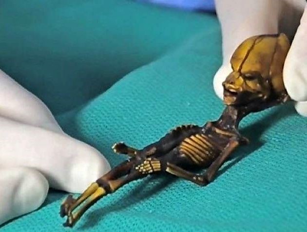 Minijaturni mumificirani skelet s fizionomijom aliena - interesantan znanosti koliko i UFOlozima.