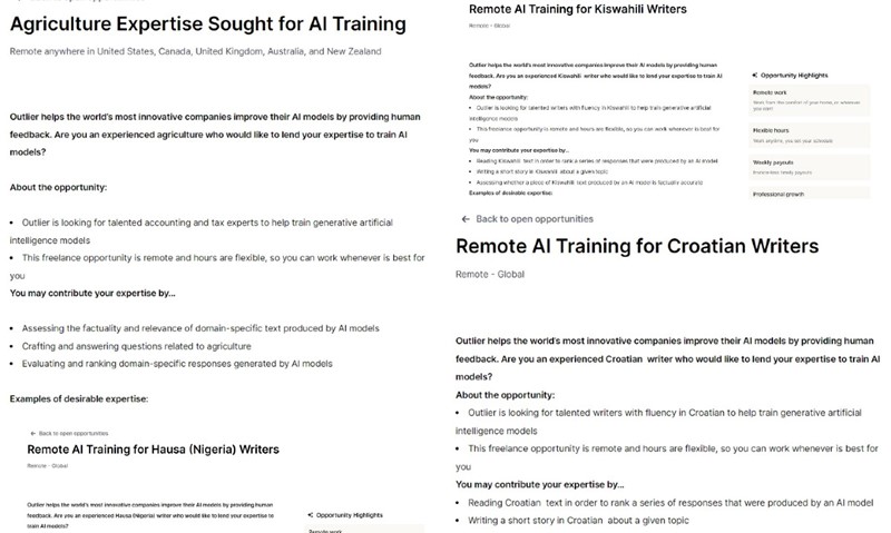 Posla ima, samo ga treba znati raditi: stručnjaci za razna područja, na različitim svjetskim jezicima sve su traženiji