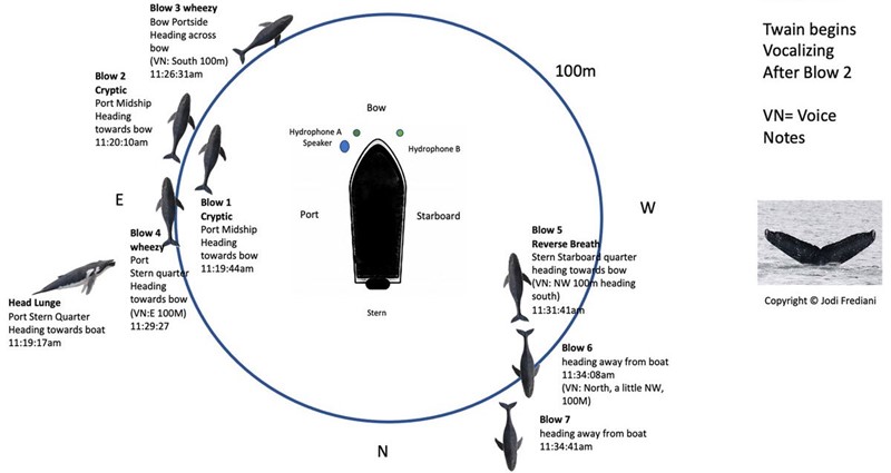 Shema kretanja i tajminga zvučne komunikacije između Twain i istraživačkog broda