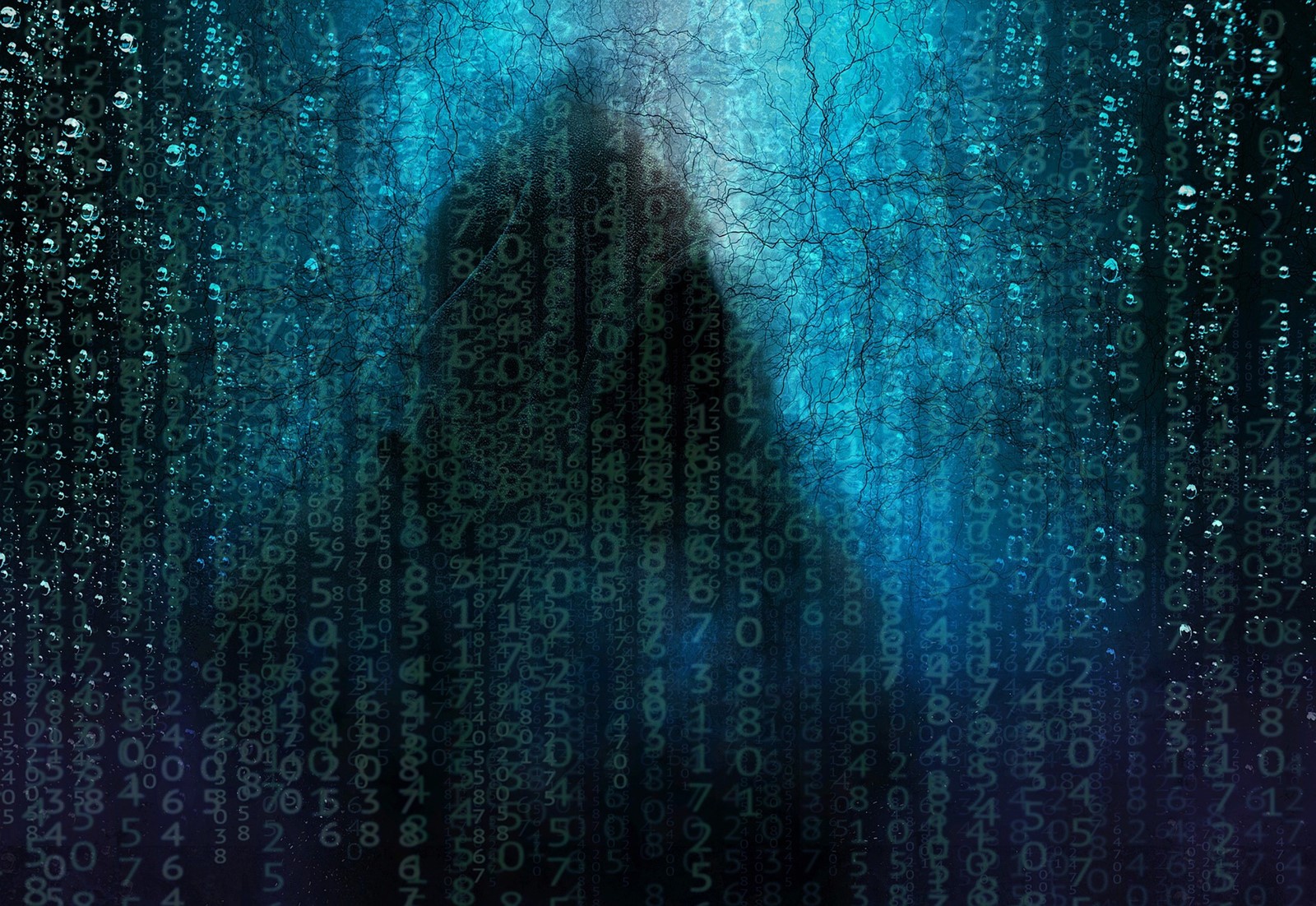 【国内在庫】 se Kako Internetom nasuprot Anonimnost - anonimno? kretati ウエア/装備