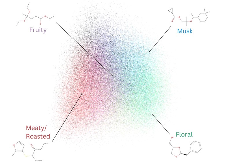 U glavnoj mapi mirisa (POM) boja svakog od 500.000 prethodno neokarakteriziranih vjerojatnih mirisa odgovara njihovim predviđenim oznakama mirisa 📷 Osmo