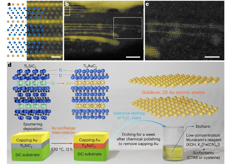 Zlato se pretvara u poluvodič kada se stanji na sloj od jednog atoma, prkoseći svojoj konvencionalnoj prirodi 📷 LiU