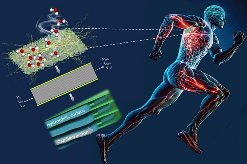 Nova tehnologija integrira jednoslojnu MXene nanoploču s vunom kao elektrokemijski aktivnom komponentom 📷 IFM