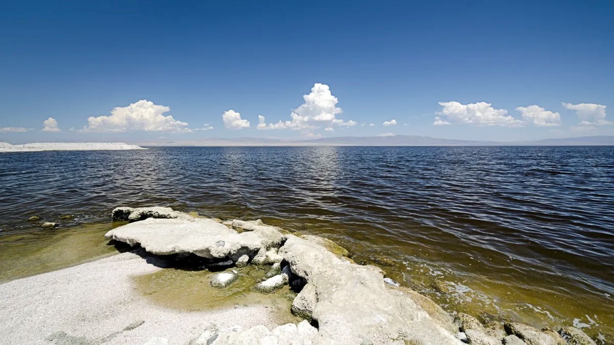Saltonsko more dosad je bilo na zlu glasu kao središte ekološke katastrofe, učestalih suša, toplinskih valova i masovnog pomora ribe 📷 Wikipedia
