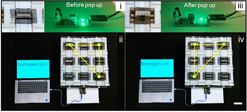 Primjene multistabilne metastrukture za enkripciju informacija i mehaničko računanje 📷 North Carolina State University
