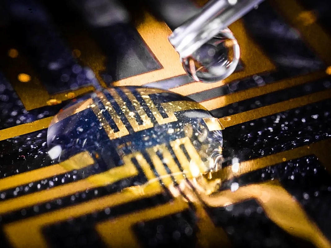 Švedski istraživači uspjeli su uzgojiti elektrode u živom tkivu pomoću gela za ubrizgavanje