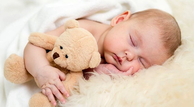 Bez bitnije veze s tekstom, no lijepo je i kičasto: beba pava, medo pava