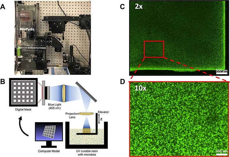 Stereolitografski aparat za mikrobiološki ispis (SLAM) može ispisivati u visokoj razlučivosti reda veličine 18 mikrona
