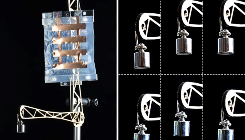 Ljepota ovog modela je njegova jednostavnost; može se objasniti srednjoškolskim znanjem fizike i nije ograničen na postojeće aktuatore, kažu njegovi tvorci 📷 Sant'Anna