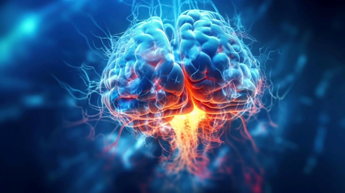 Beta-amiloidni plakovi zauzimaju oko šest posto korteksa u mozgu ljudi s Alzheimerovom bolešću 📷 WangXiNa