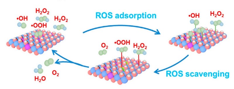 Dvojni hidroksid ULDH je katalizator koji manganovim ionima ubrzava razlaganje vodikova peroksida i drugih reaktivnih kisikovih vrsta