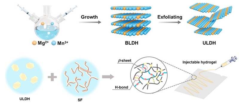 Priređivanje novoga lijeka: od dvojnog hidroksida (ULDH) do gela (SF-ULDH) spremnog za unošenje na mjesto povrede leđne moždine