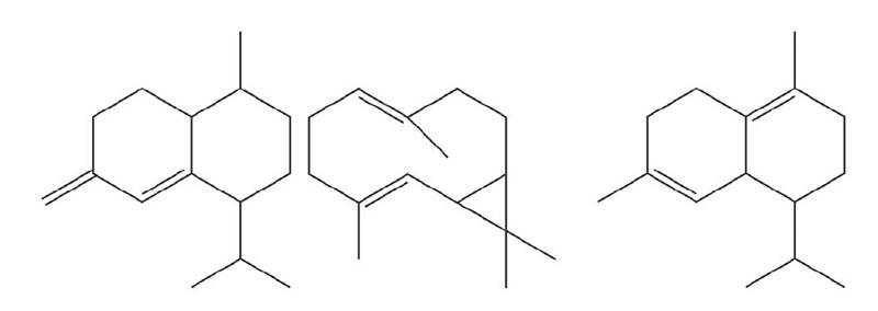 Tri od mnogo terpena o kojima ovisi miris algi