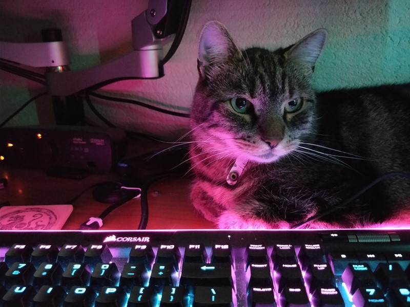 Blenda f/1.7, brzina okidanja 1/17, ISO 9600 – u automatskom modu ISO može se popeti na osjetno više od 3200, koje nude kontrole u Pro načinu rada