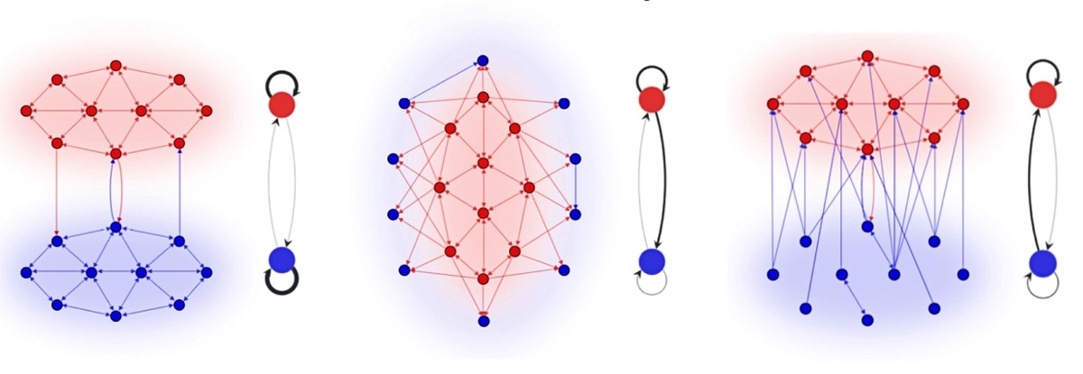 Vizualna replikacija mrežnih struktura: 