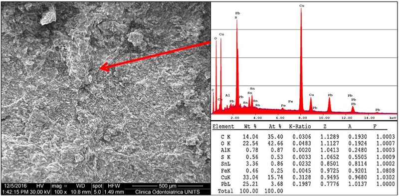 Slika površine novčića elektronskim mikroskopom i njegov spektar