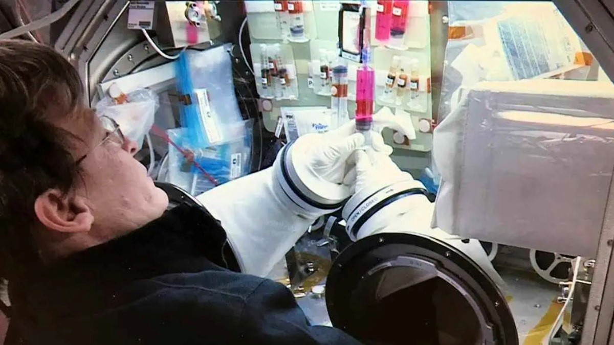Pokusi s matičnim stanicama na Međunarodnoj svemirskoj postaji dali su obećevajuće rezultate 📷 Mayo Clinic