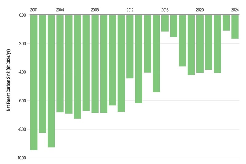 Neto poniranje ugljika u šumama od početka 21. stoljeća: u proračun su uključeni i drugi staklenički plinovi