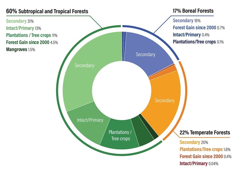 Globalno uklanjanje ugljika ovisno je o vrsti šume