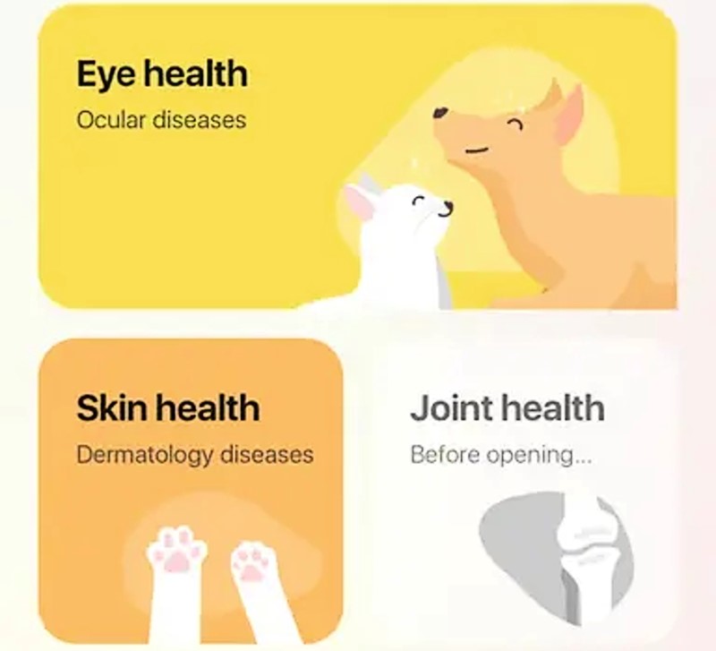 Nakon snimanja digitalne fotografije kućnog ljubimca, UI softver analizira sliku i obavještava vlasnika životinje o mogućim stanjima i bolestima vezanim uz oči, epidermu ili zglobove. TTcareov UI osposobljen je da prepozna fizičke manifestacije potencijalnih problema kako bi skratio vrijeme do početnog ili preventivnog tretmana 📷 AI FOR PET