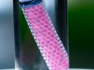 Projekt THOR: implantant koji liječi rak u samo 60 dana