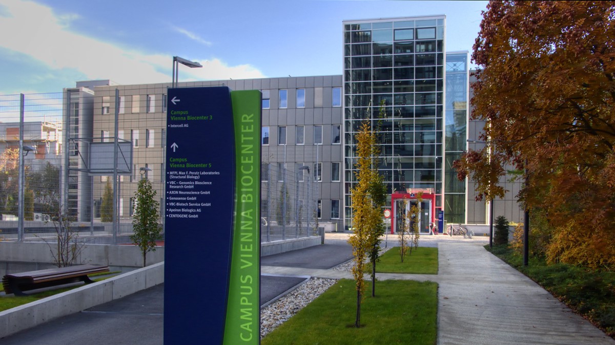 Novi institut nalazi se u Beču 📷 © Peter Gugerell / Wikipedia