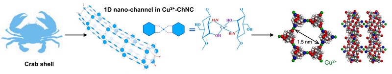 Od rakova oklopa do cjevastih molekula – molekule kitozana povezane su ionima bakra