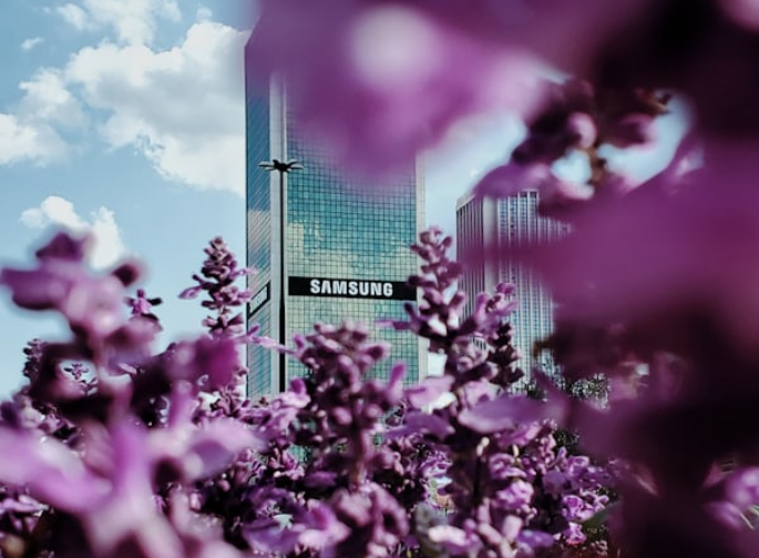 📷 Foto: Unsplash