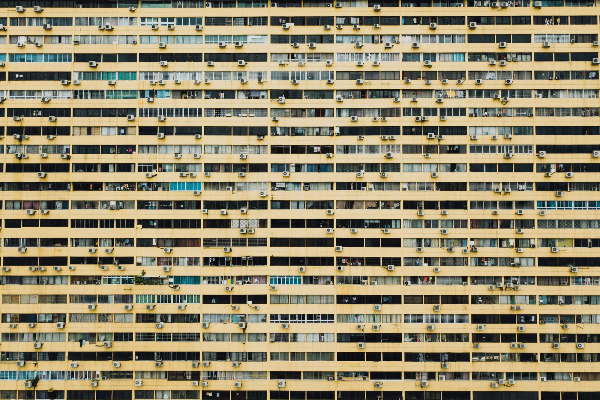 📷 Foto: CHUTTERSNAP, Unsplash
