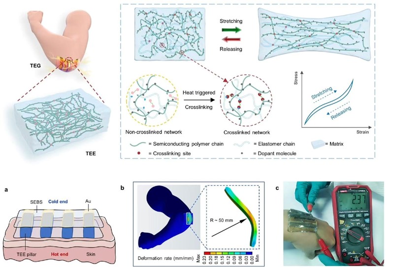 Gumena traka tjelesnu toplinu pretvara u električnu energiju 📷 Sveučilište u Pekingu