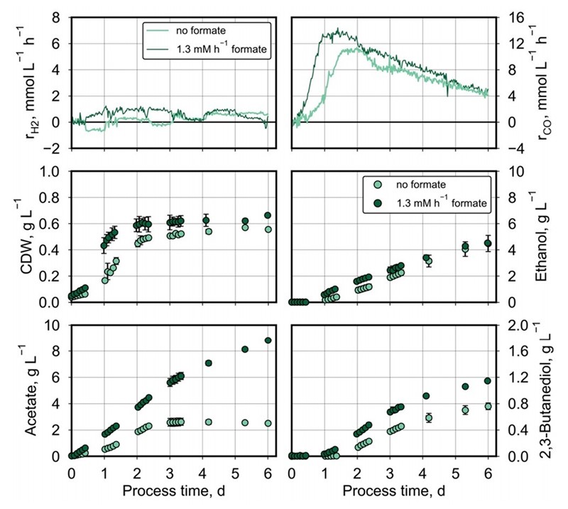 Uzgoj bakterija s mnogo (20 %) ugljikova monoksida u plinu za sintezu