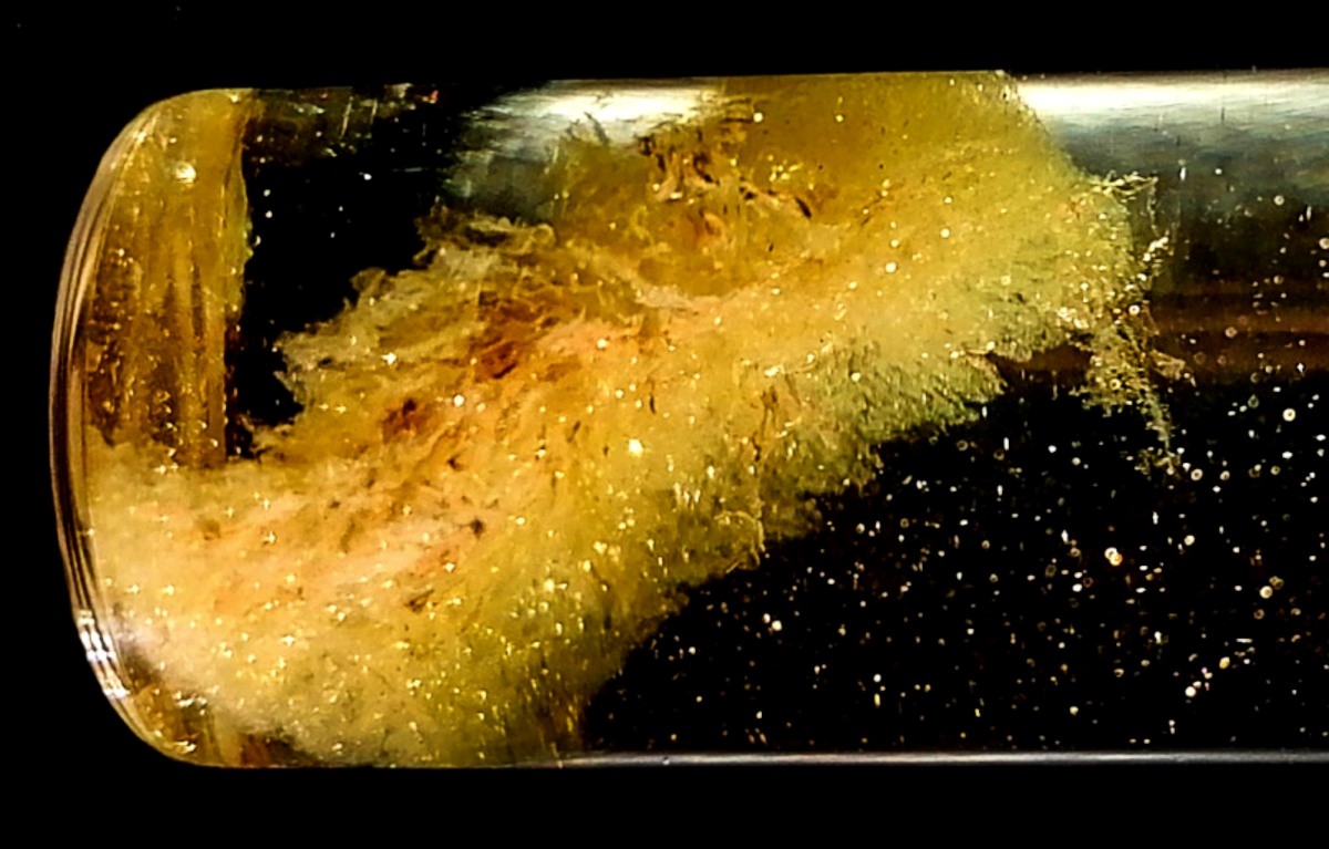Aerogel napunjen ionima zlata  📷 Peydayesh M i sur, Advanced Materials